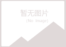 佛山南海冰夏金融有限公司